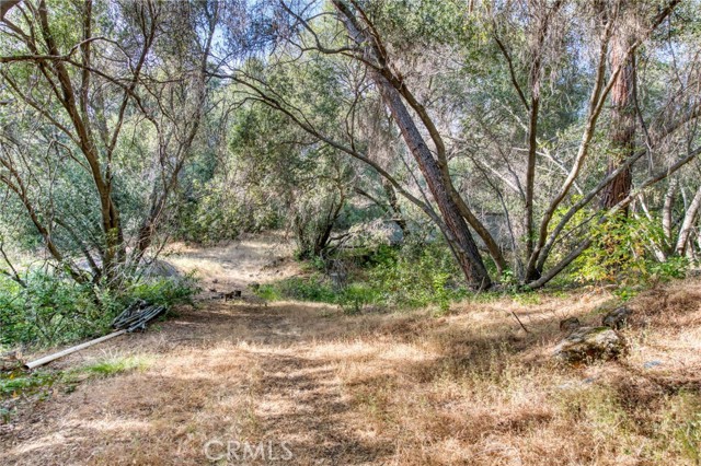 Detail Gallery Image 15 of 72 For 43867 Trabuco Ct, Coarsegold,  CA 93614 - 4 Beds | 4 Baths