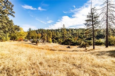 Detail Gallery Image 45 of 54 For 4816 Stumpfield Mountain Rd, Mariposa,  CA 95338 - 2 Beds | 2 Baths