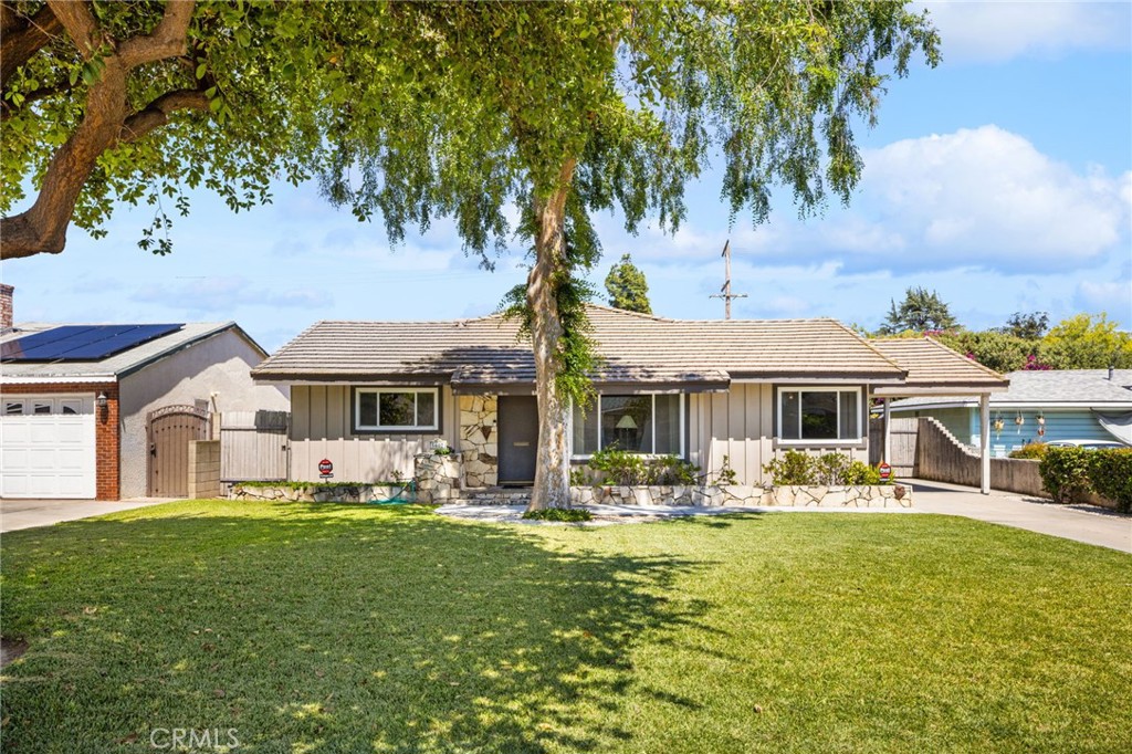 5602 Persimmon