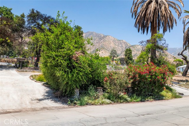 701 E Palm Street, Altadena CA: https://media.crmls.org/medias/ed5cc0ea-fa66-4b9b-add0-080ee75cf79d.jpg