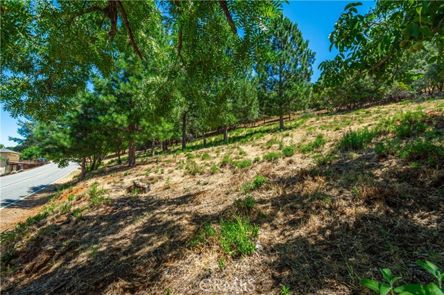 Detail Gallery Image 72 of 75 For 3126 Edgewood Drive, Kelseyville,  CA 95451 - – Beds | – Baths