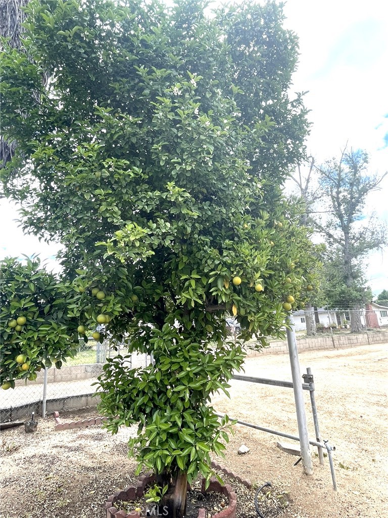 https://media.crmls.org/medias/ed6416d6-a212-4c21-8b92-cee852775fc1.jpg?preset=X-Large