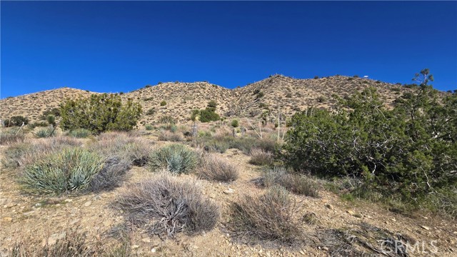 Detail Gallery Image 22 of 31 For 0 Pinon Road to Mescal Highlands, Llano,  CA 93544 - – Beds | – Baths