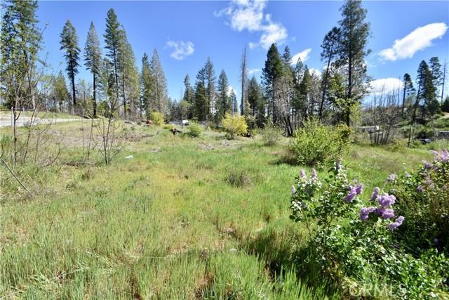 Detail Gallery Image 2 of 17 For 6 Sugar Pine, Berry Creek,  CA 95916 - – Beds | – Baths