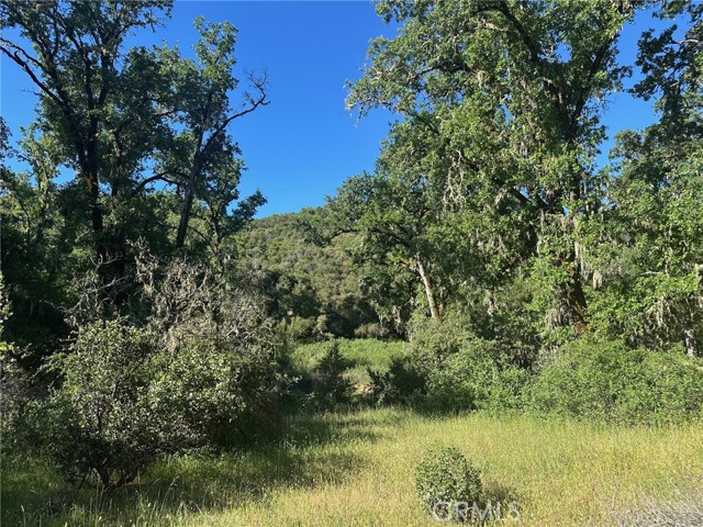 7300 Ridge Road, Lakeport CA: https://media.crmls.org/medias/ed79a3fc-72ae-49a5-b5a6-3a6a858ac3ad.jpg