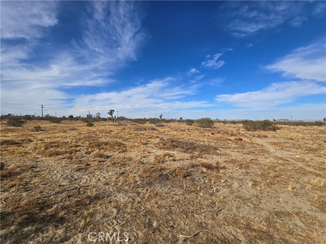 Detail Gallery Image 5 of 8 For 0 263rd Rd, Pinon Hills,  CA 92372 - – Beds | – Baths