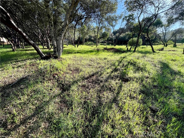 9729 Broadmoor Way, Kelseyville, California 95451, ,Land,For Sale,9729 Broadmoor Way,CRND23182464