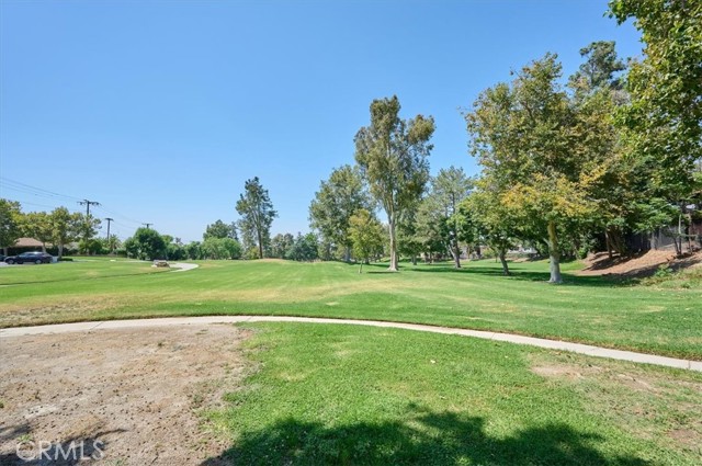 Community Park 02