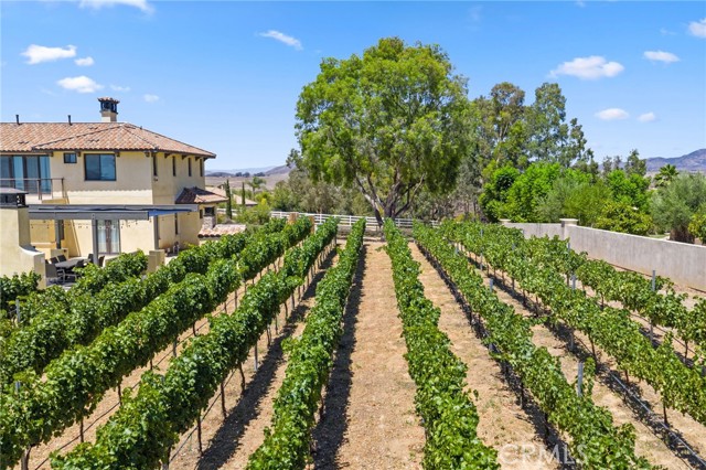 39547 Calle Cabernet, Temecula CA: https://media.crmls.org/medias/ed98e42b-7086-4028-8150-c31215c0cf1c.jpg