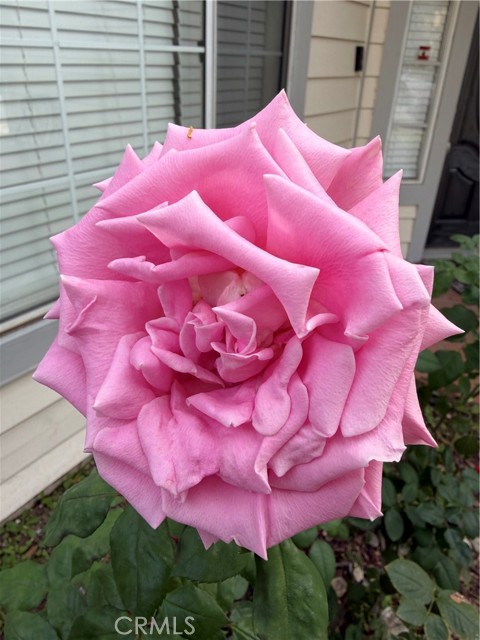 Detail Gallery Image 58 of 69 For 7863 Iroquois, Fontana,  CA 92336 - 4 Beds | 2/1 Baths