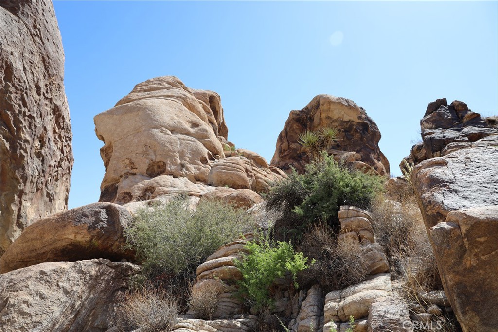 MLS #JT25234703 image #7