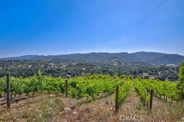0 Via Herradura, Murrieta CA: https://media.crmls.org/medias/eda1ffed-da14-4267-83d4-332759ef388a.jpg