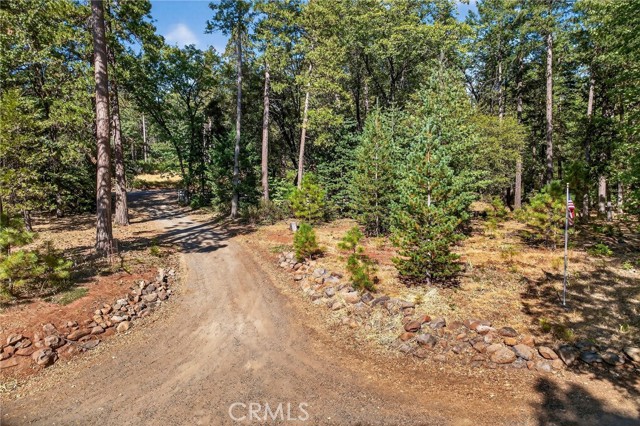 Detail Gallery Image 66 of 75 For 10202 Cohasset Rd, Chico,  CA 95973 - 3 Beds | 2 Baths