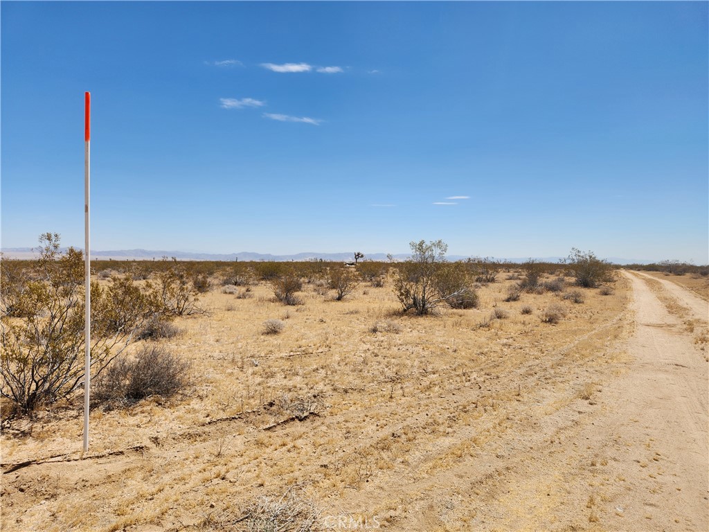 MLS #HD25223497 image #6