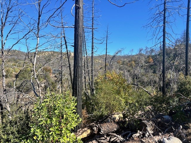 Detail Gallery Image 6 of 39 For 0 Craig Access, Feather Falls,  CA 95940 - – Beds | – Baths