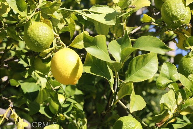 Detail Gallery Image 12 of 16 For 10762 Center Dr, Villa Park,  CA 92861 - 7 Beds | 6/1 Baths