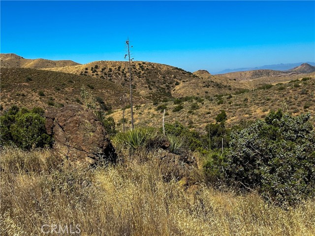 Detail Gallery Image 9 of 15 For 0 Big Springs Rd, Agua Dulce,  CA 91350 - – Beds | – Baths