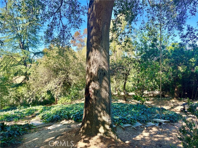 Detail Gallery Image 66 of 69 For 1804 Valle Vista, Redlands,  CA 92373 - 6 Beds | 4/1 Baths