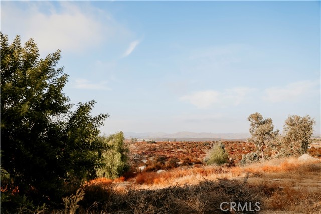 Detail Gallery Image 54 of 67 For 39220 Gray Squirrel, Temecula,  CA 92592 - 4 Beds | 2 Baths