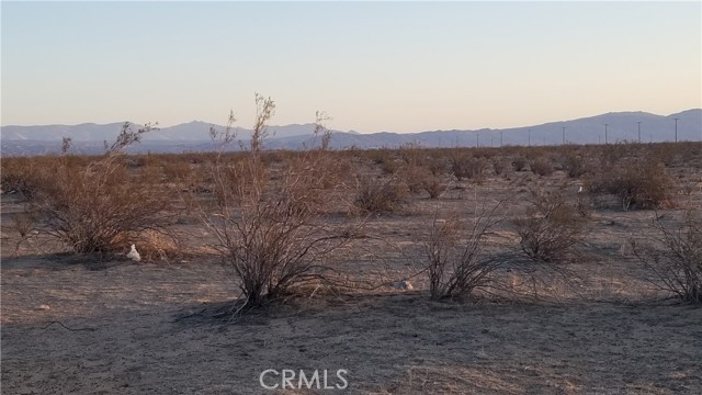 0 Neurelia, California City, CA, 93505 0 Neurelia, California City, CA, 93505