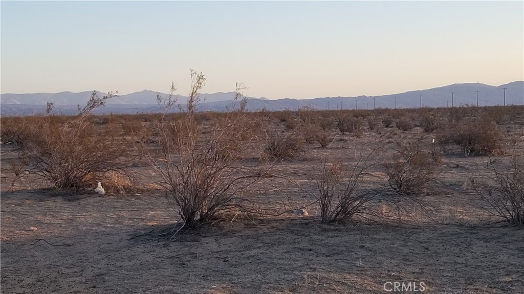 0 neurelia, California City, CA 93505