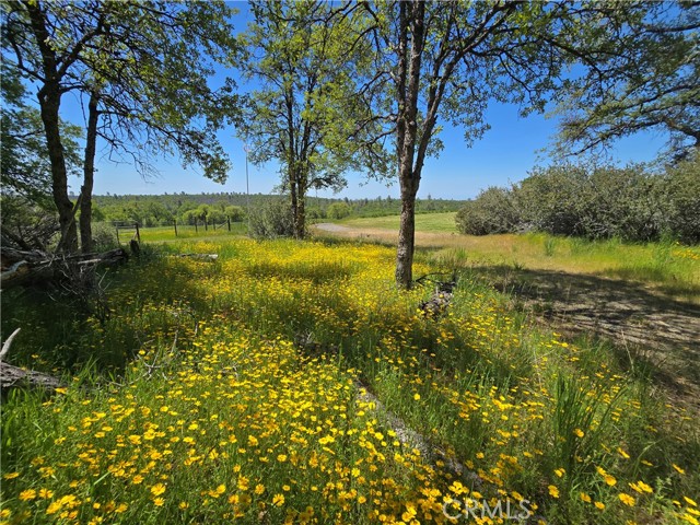 Detail Gallery Image 46 of 75 For 5963 Schilling Road, Coulterville,  CA 95311 - 3 Beds | 3 Baths