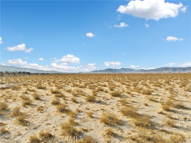 Detail Gallery Image 7 of 7 For 720 Old Woman Springs Rd, Lucerne Valley,  CA 92356 - – Beds | – Baths