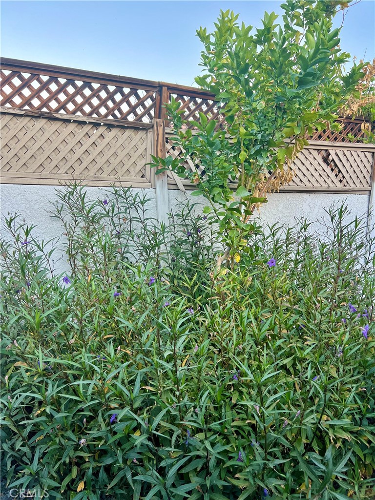 MLS #SB25246329 image #29