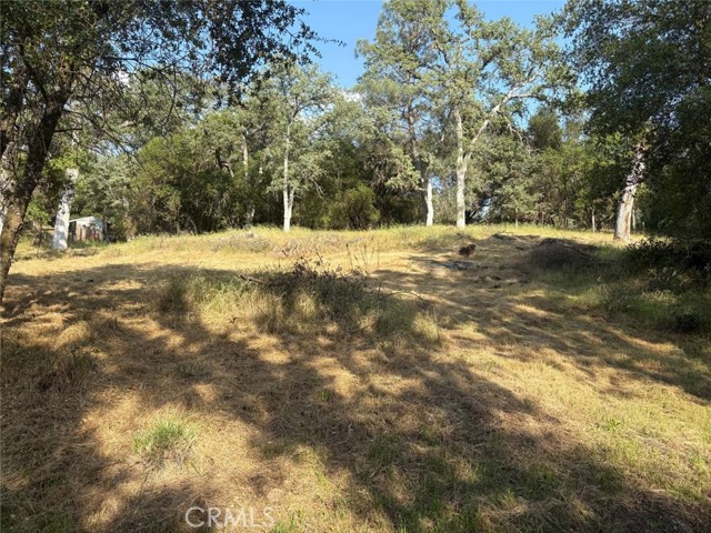 Detail Gallery Image 4 of 9 For 0 Chickasaw Rd, Coarsegold,  CA 93614 - – Beds | – Baths