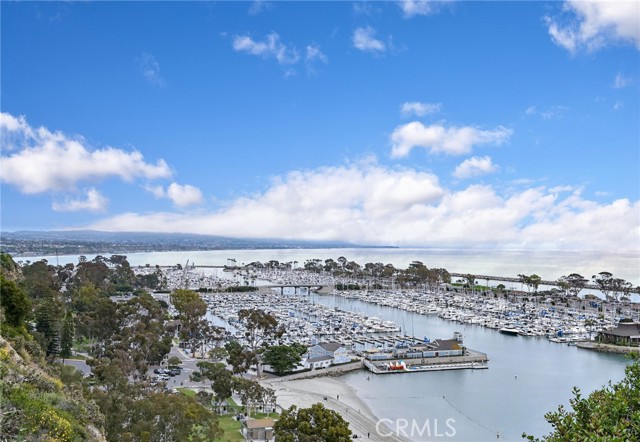 34051 Violet Lantern, Dana Point, California 92629, 3 Bedrooms Bedrooms, ,2 BathroomsBathrooms,Residential Lease,For Rent,34051 Violet Lantern,CROC23090798