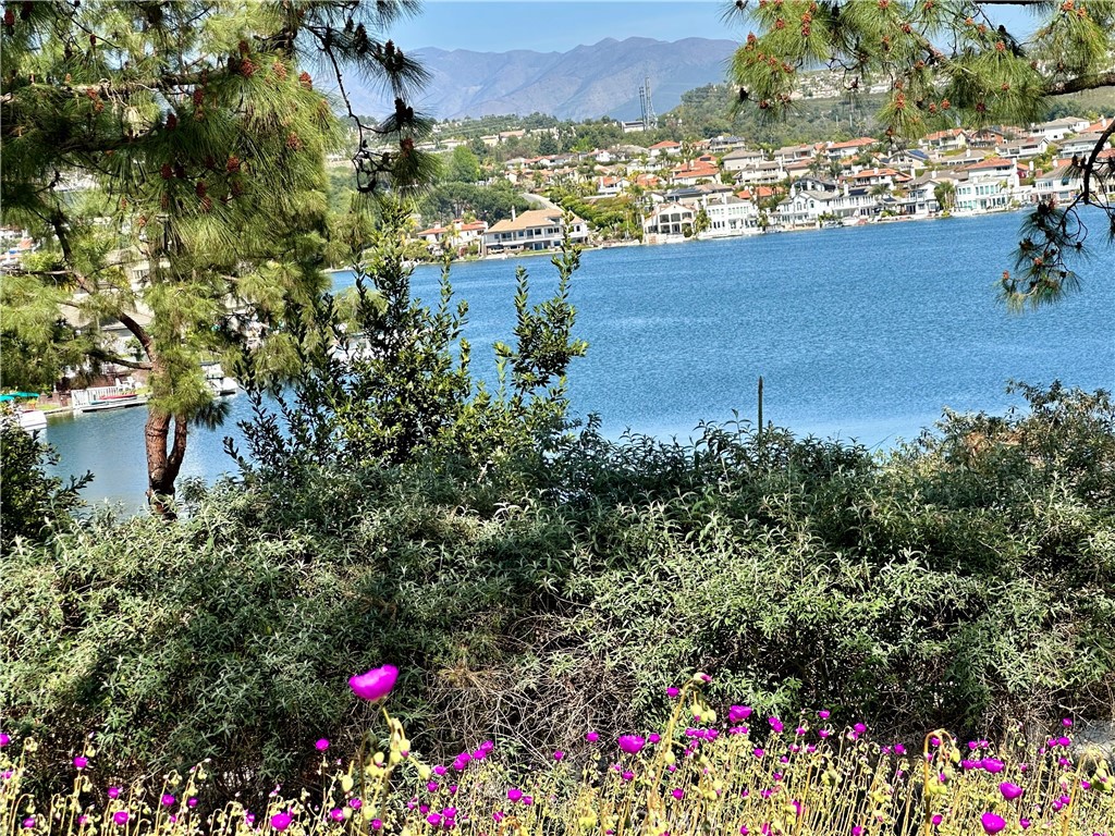 https://media.crmls.org/medias/edec094b-9d01-4abd-940b-fdcdc7964c69.jpg?preset=X-Large