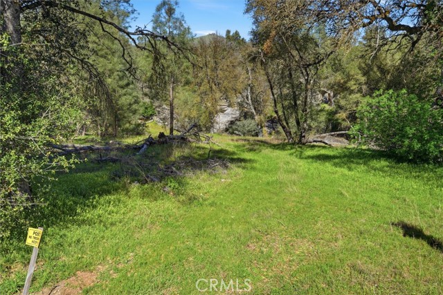 Detail Gallery Image 18 of 34 For 4251 Burl, Mariposa,  CA 95338 - – Beds | – Baths