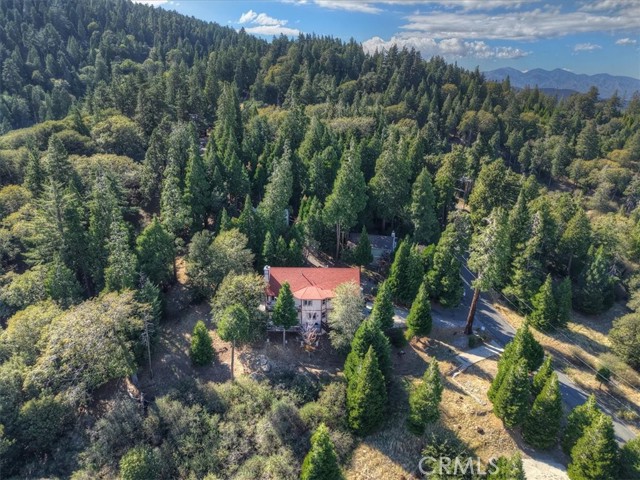 729 Minty Pine Drive, Cedarpines Park, CA 92322