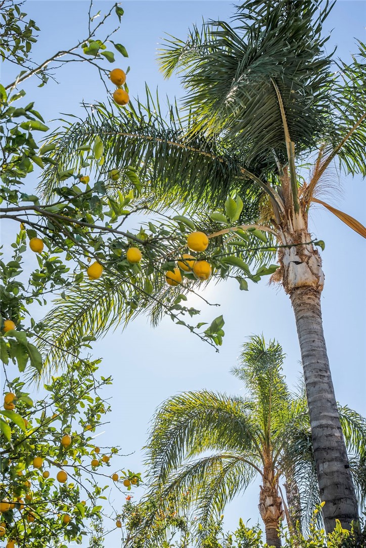 https://media.crmls.org/medias/ee006aaf-006f-4a77-8527-8baff7370aa2.jpg?preset=X-Large