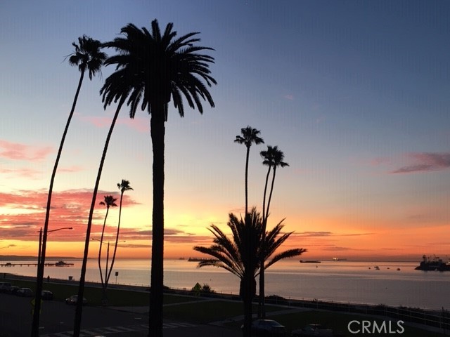 https://media.crmls.org/medias/ee0814e6-c972-4c0f-a685-5a392c4de433.jpg?preset=X-Large