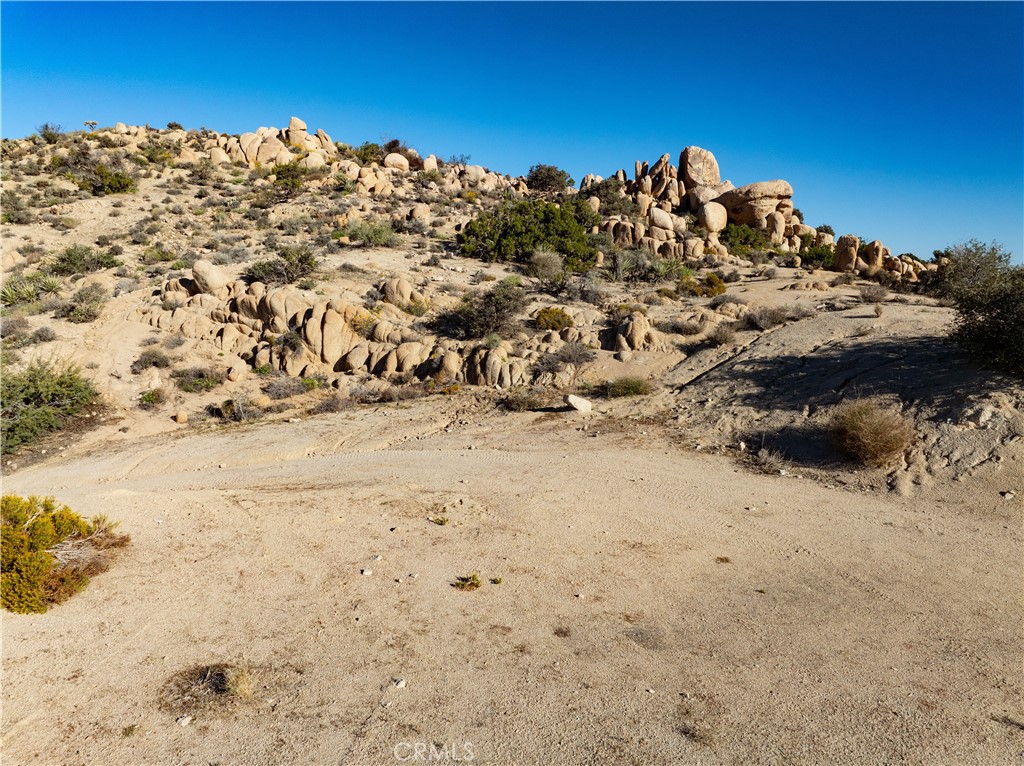 MLS #JT25252146 image #16