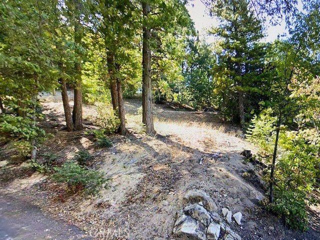 0 Strwberry Lodge, Twin Peaks, CA, 92391 0 Strwberry Lodge, Twin Peaks, CA, 92391