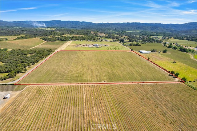 Detail Gallery Image 12 of 29 For 1650 Bell Hill Rd, Kelseyville,  CA 95451 - – Beds | – Baths