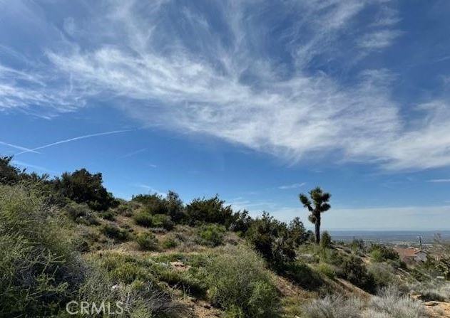 Detail Gallery Image 2 of 8 For 0 Snow Valley Rd., Pinon Hills,  CA 92372 - – Beds | – Baths