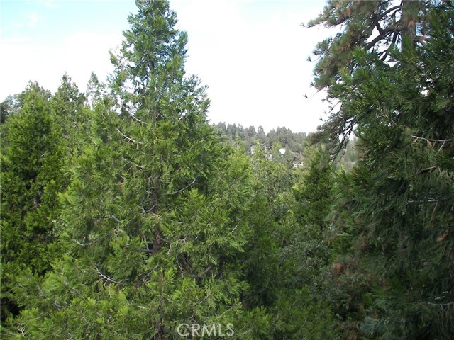 23730 Lakeview, Crestline, CA 92325