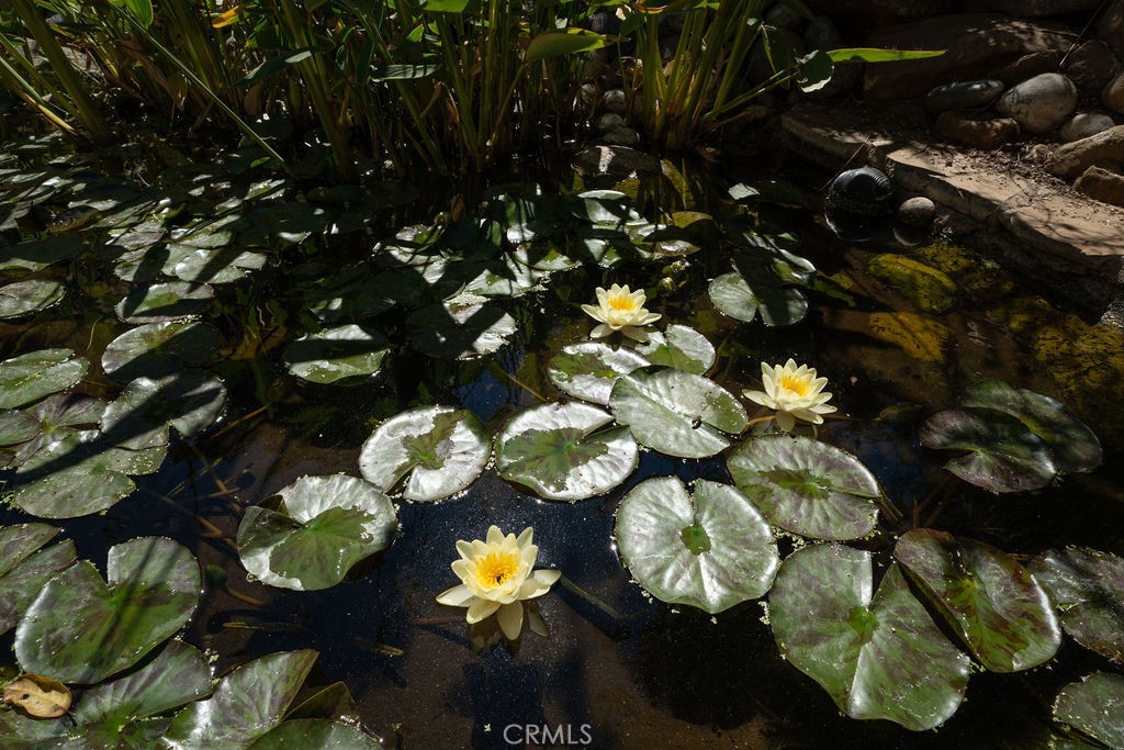 https://media.crmls.org/medias/ee197674-85c5-4756-ab13-922d7c2616b6.jpg?preset=X-Large