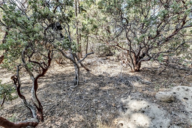 Detail Gallery Image 10 of 14 For 0 Overlook, Idyllwild,  CA 92549 - – Beds | – Baths