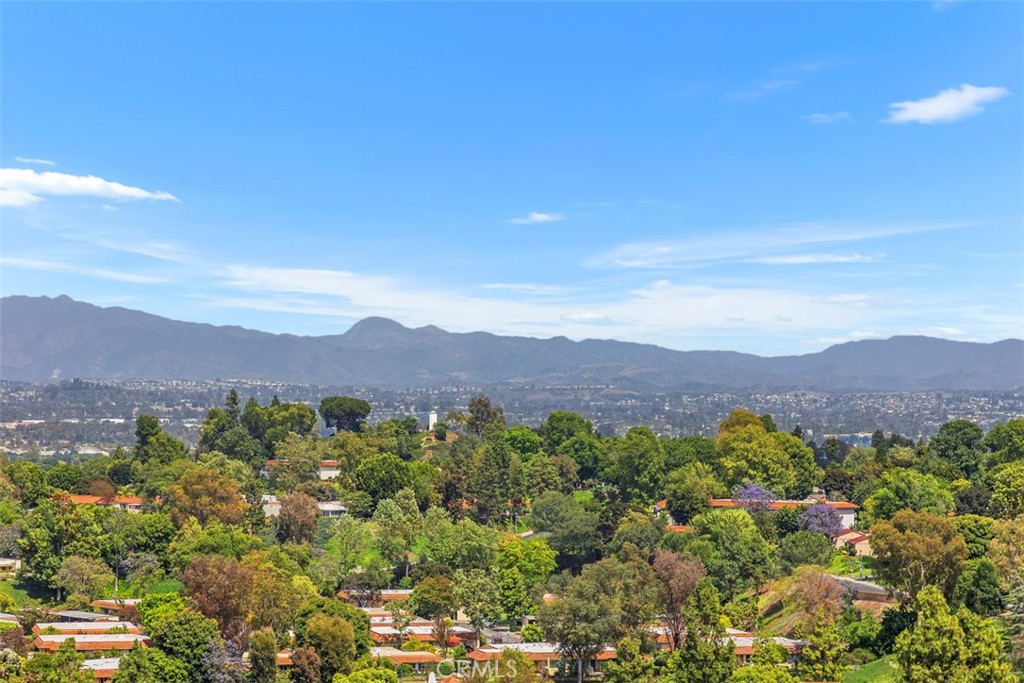 https://media.crmls.org/medias/ee1ef0fe-8c39-40da-a357-30646f06932b.jpg?preset=X-Large