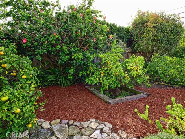 Detail Gallery Image 22 of 25 For 2525 via Amador, Palos Verdes Estates,  CA 90274 - 5 Beds | 3/1 Baths