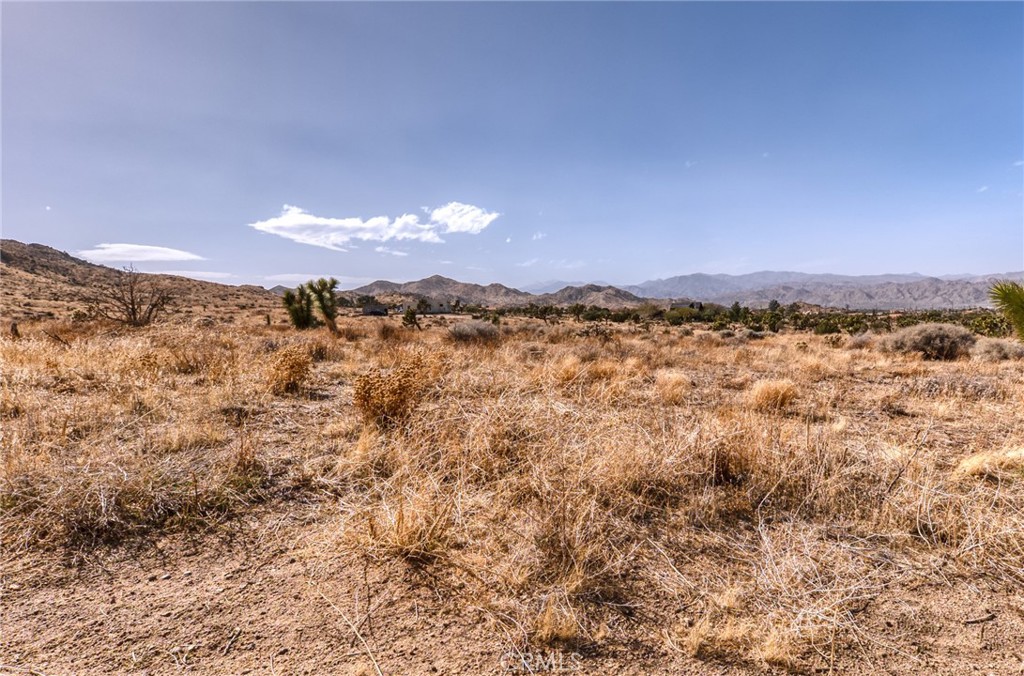 MLS #JT25046600 image #30