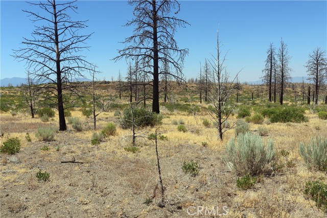 Detail Gallery Image 2 of 14 For 0 Juniper Valley, Weed,  CA 96094 - – Beds | – Baths