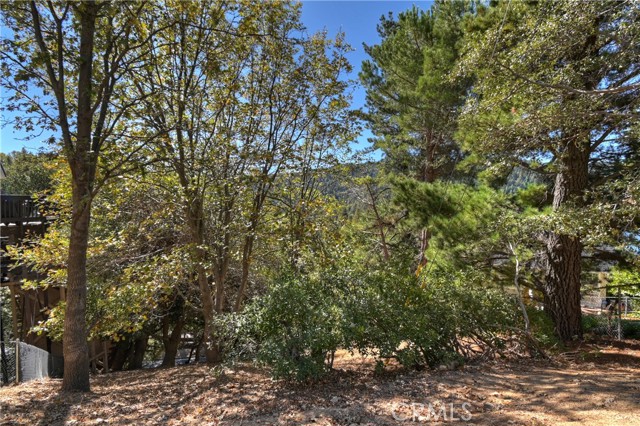 Detail Gallery Image 13 of 14 For 428 Delle Dr, Crestline,  CA 92325 - – Beds | – Baths