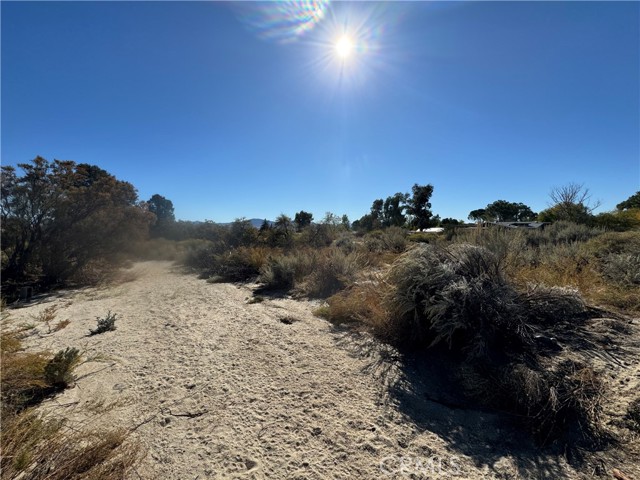 Detail Gallery Image 11 of 12 For 19 Old Forest, Anza,  CA 92539 - – Beds | – Baths