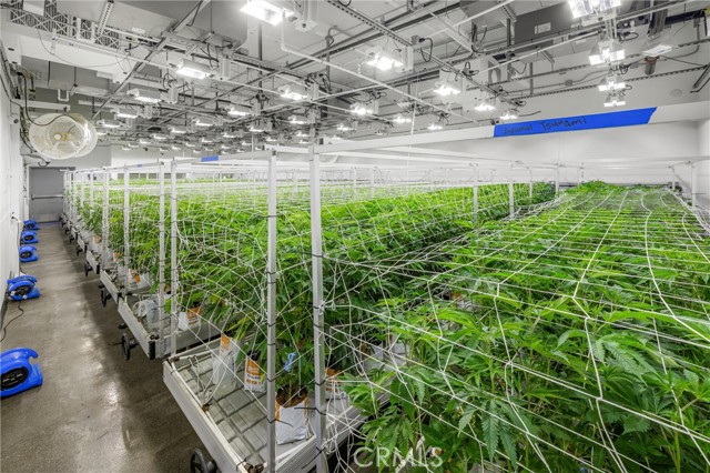 Image 34 of 54 For 44211 Yucca