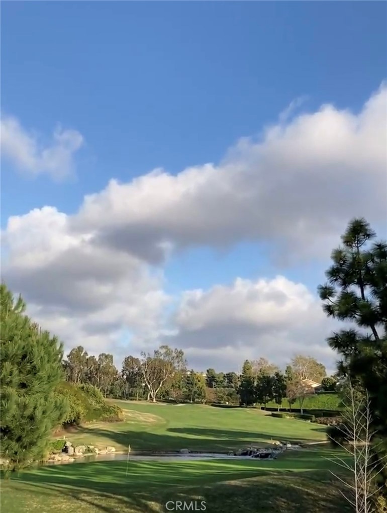 MLS #NP26168435 image #33
